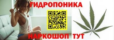 наркотики Гусиноозёрск